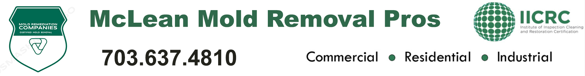 McLean Mold Removal Pros